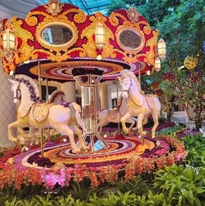 LIKE THIS to get notified of my shows!❤️